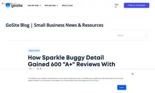 Preview of the Sparkle Buggy Detail Case Study