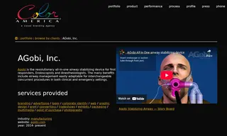 Preview of the AGobi, Inc Case Study