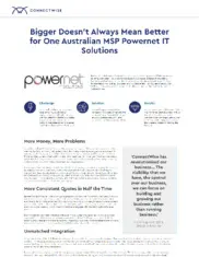 Preview of the Powernet IT Solutions Case Study