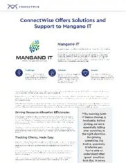 Preview of the Mangano IT Case Study
