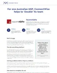 Preview of the SquareAlpha Case Study