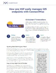 Preview of the Globalnet Case Study