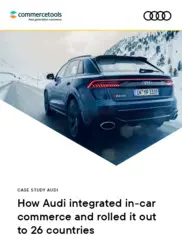 Preview of the Audi AG﻿ Case Study