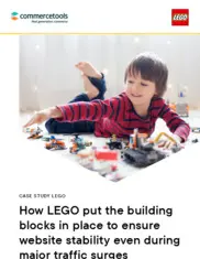 Preview of the LEGO Case Study
