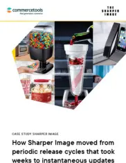 Preview of the Sharper Image Case Study