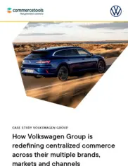 Preview of the Volkswagen AG Case Study