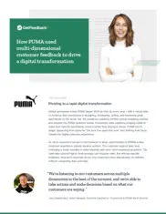 Preview of the Puma Case Study