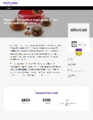 Preview of the Silikomart Case Study