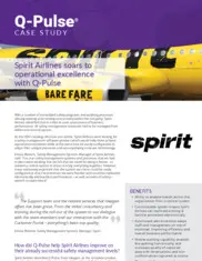 Preview of the Spirit Case Study