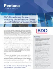 Preview of the BDO Case Study