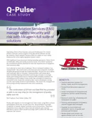 Preview of the Falcon Aviation Services Case Study