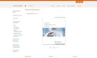 Preview of the Cambrex Case Study