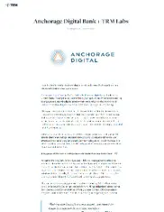 Preview of the Anchorage Digital Case Study