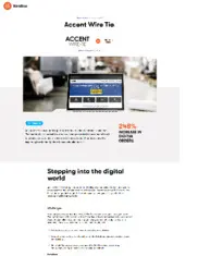 Preview of the Accent Wire Tie Case Study