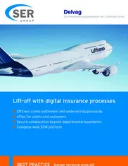 Preview of the Delvag Versicherungs Case Study