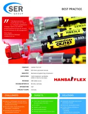 Preview of the HANSA-FLEX Case Study