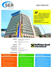 Preview of the Raiffeisen Bank International AG Case Study