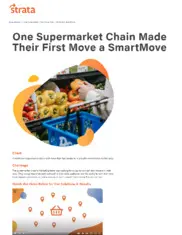Preview of the Leading Supermarket Chain Case Study