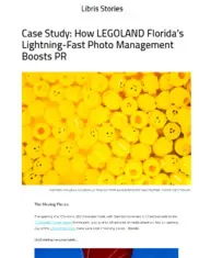 Preview of the LEGOLAND Florida Case Study
