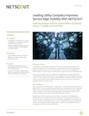 Preview of the Leading U.S. Utility Company Case Study