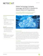 Preview of the Global Technology Company Case Study