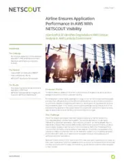 Preview of the Largest Airline Company Case Study