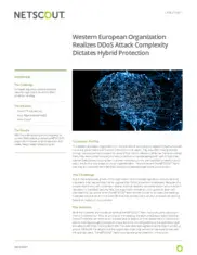 Preview of the Western European Organization Case Study