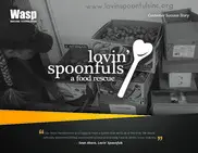 Preview of the Lovin' Spoonfuls Case Study