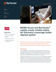 Preview of the Mobo Druck GmbH Case Study