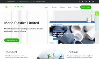 Preview of the Mario Plastics Limited Case Study