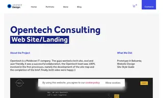 Preview of the Opentech Consulting Case Study