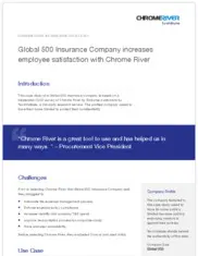 Preview of the Global 500 Insurance Company Case Study