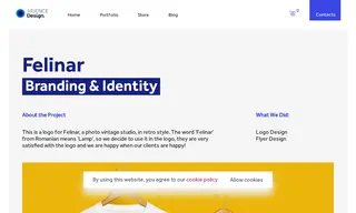 Preview of the Felinar Case Study