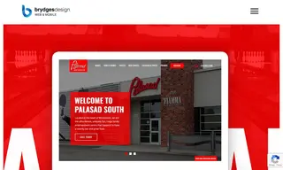 Preview of the Palasad Case Study