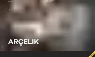 Preview of the Arcelik Case Study