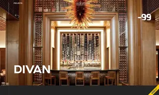 Preview of the Divan Case Study