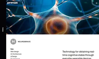 Preview of the Neurobrave Case Study