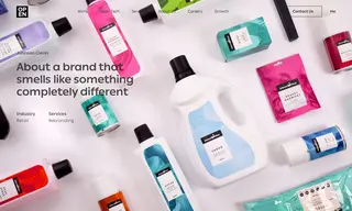 Preview of the Johnson Clean Case Study