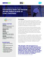 Preview of the Lowry Solutions Case Study