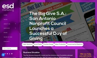 Preview of the The Big Give SA Case Study