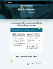 Preview of the BRK Ambiental Case Study