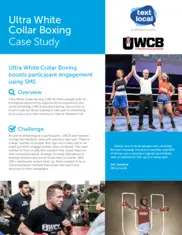 Preview of the Ultra White Collar Boxing Case Study