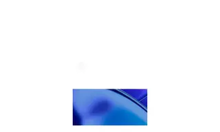 Preview of the Indigo Collection Case Study