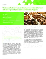 Preview of the Protiviti Case Study