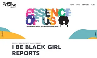 Preview of the IBBG Case Study