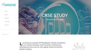 Preview of the Strella Aesthetics Case Study