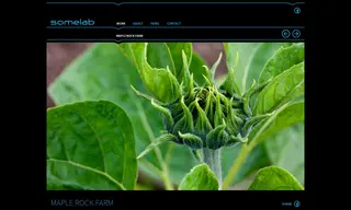 Preview of the Maple Rock Farm Case Study