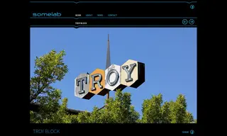Preview of the Troy Block Case Study