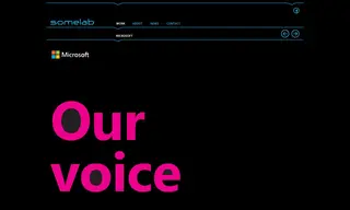 Preview of the Microsoft Case Study