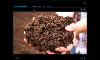 Preview of the Loop Case Study